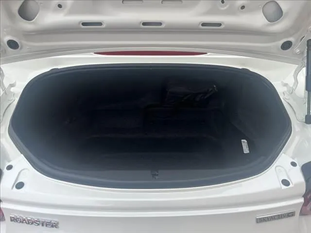 Mitsubishi Lourdstar 2024 photo 5