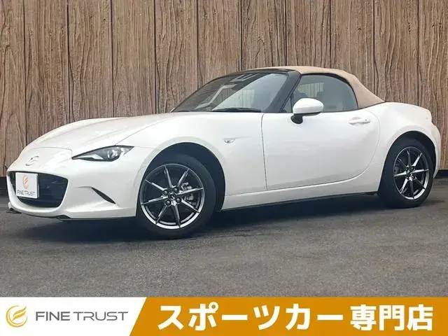 Mitsubishi Lourdstar
