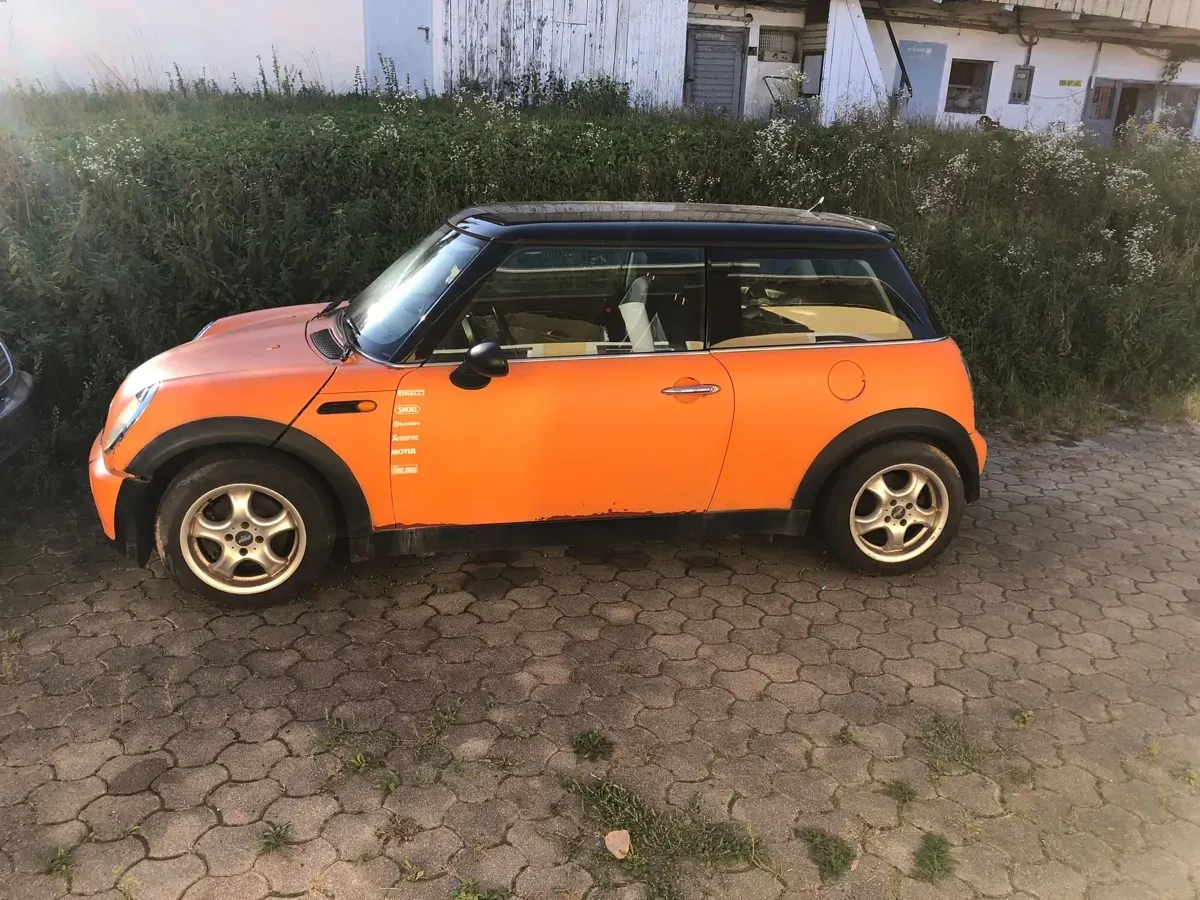 Mini Mini