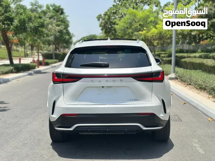 Lexus Nx 2025 photo 4