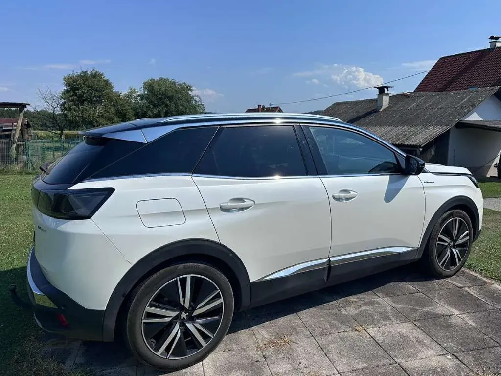 Peugeot 3008 2021 photo 2