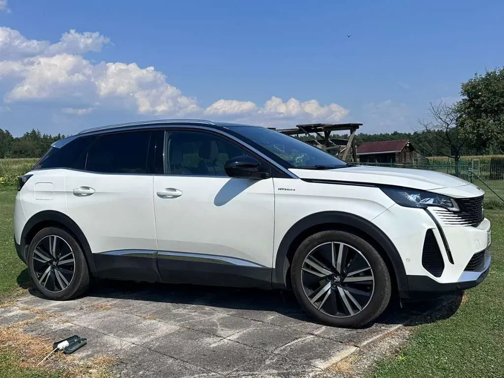 Peugeot 3008 2021 photo 3