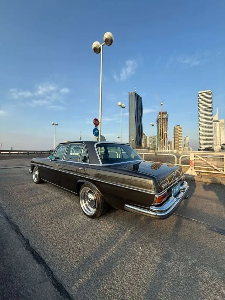 Mercedes-Benz S-Class 1972 photo 3