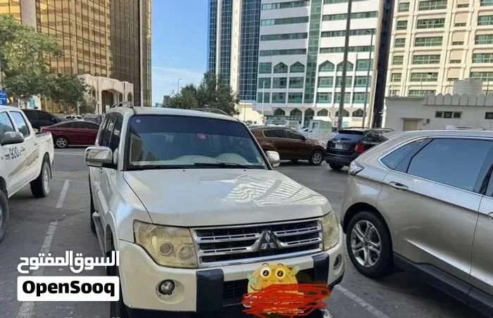 Mitsubishi Pajero 2009 photo 5
