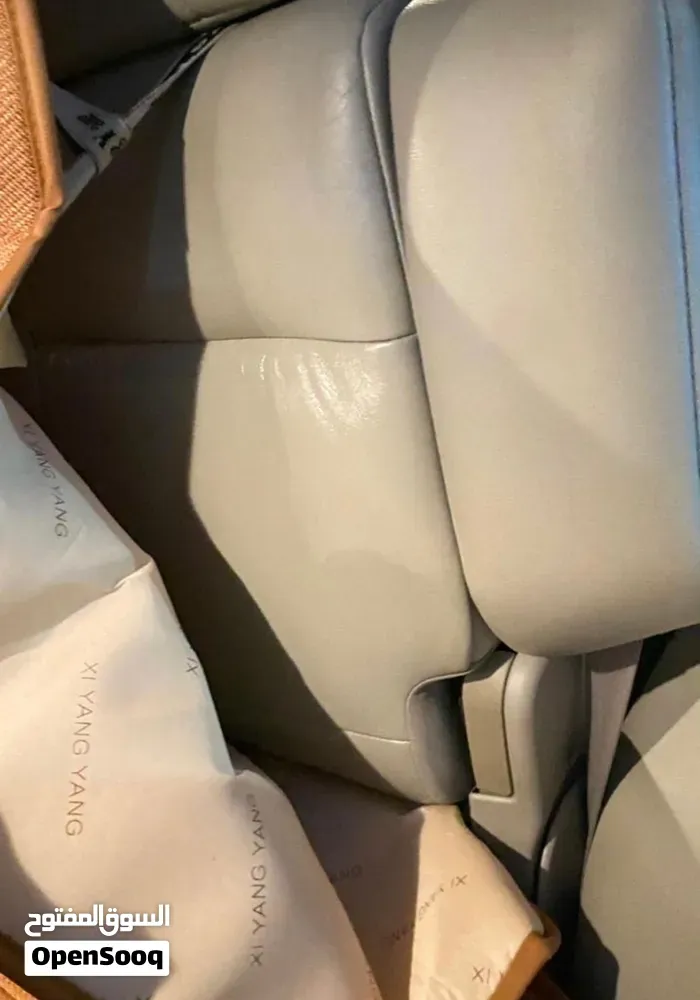 Mitsubishi Pajero 2009 photo 2