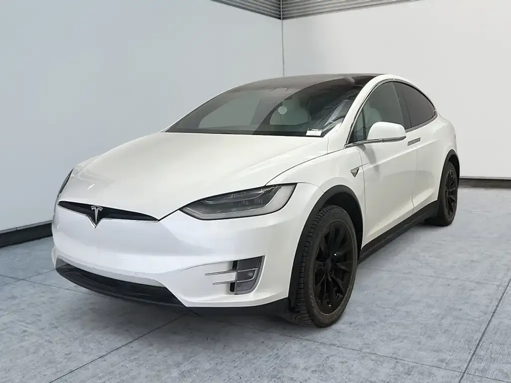 Tesla Model X 2020 photo 5