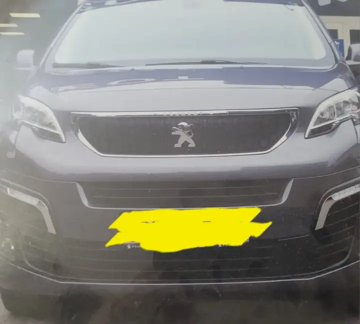 Peugeot Traveller