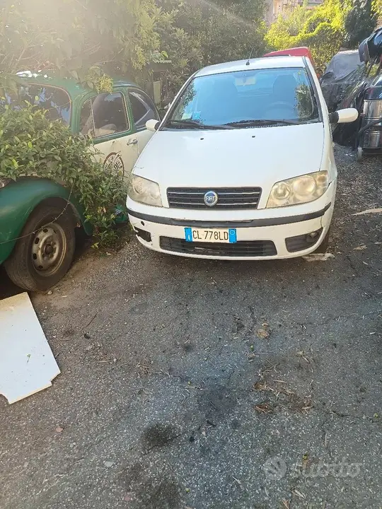 Fiat Punto