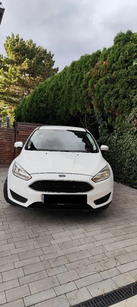 Ford Focus 2015 photo 2