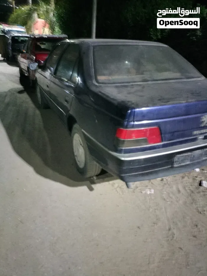 Peugeot 405 2004 photo 2
