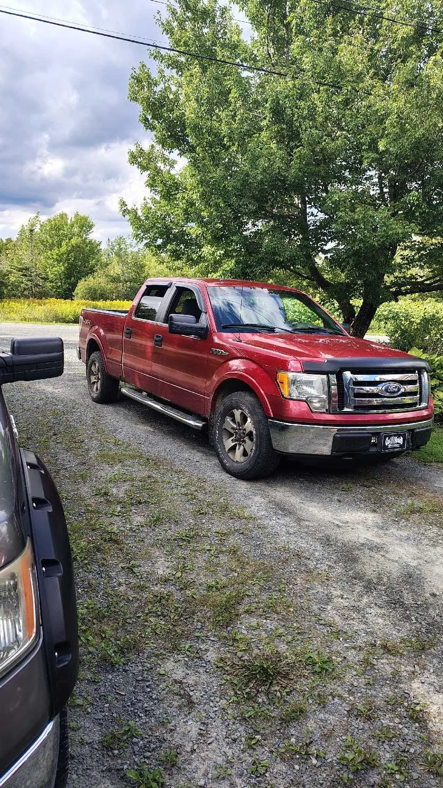 Ford F-150 2011 photo 3