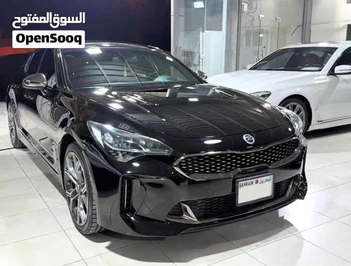 Kia Stinger 2019 photo 2