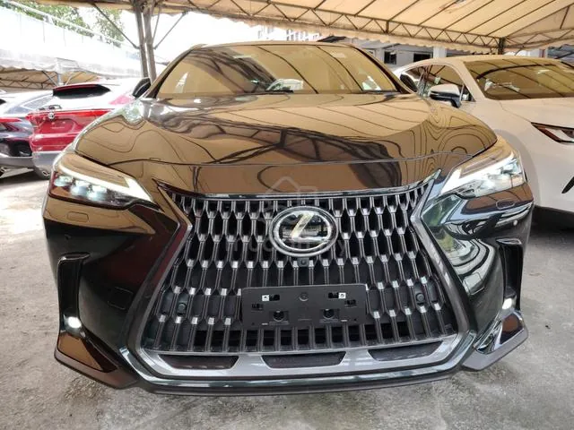 Lexus Nx250