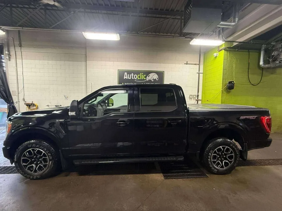 Ford F-150 2021 photo 3
