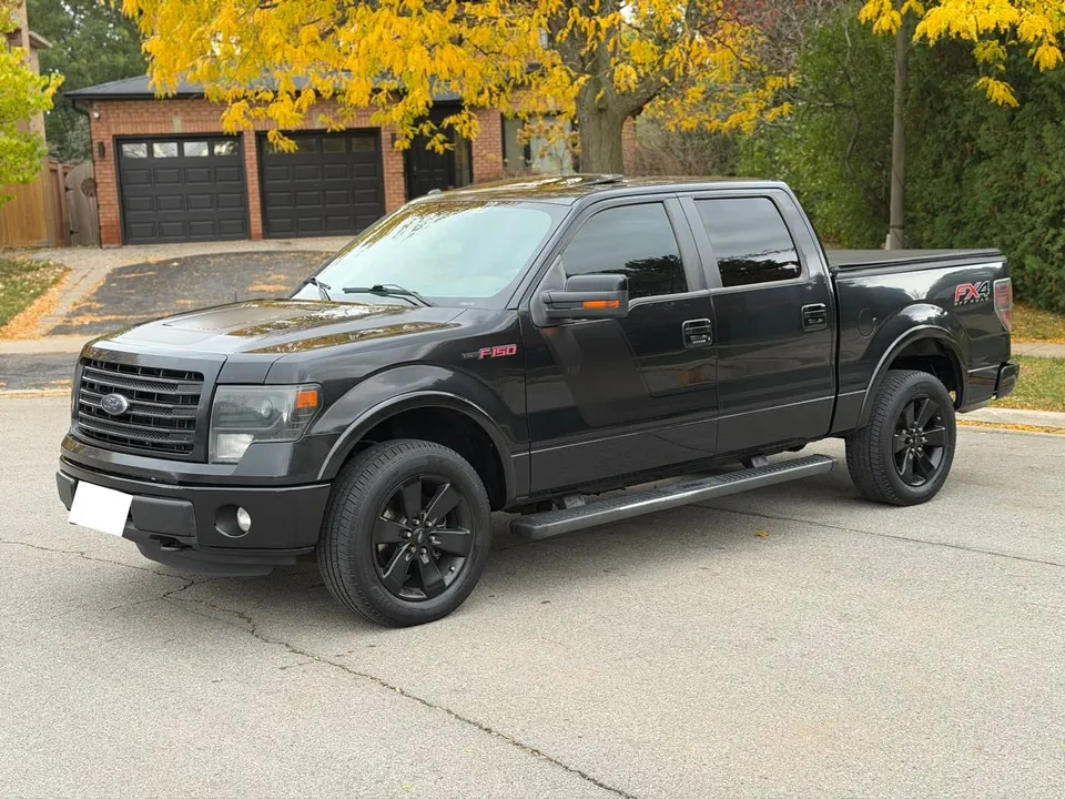 Ford F-150 2014 photo 3