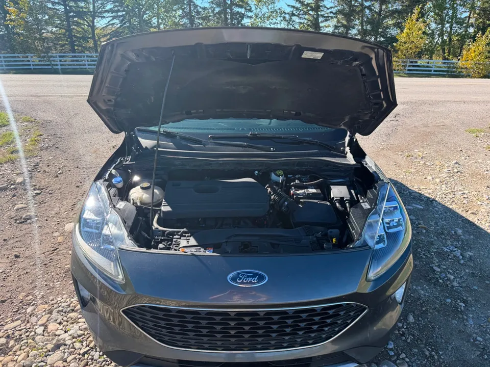 Ford Escape 2020 photo 4