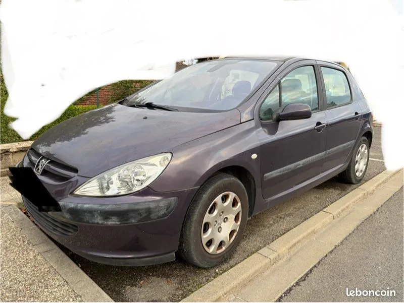 Peugeot 307 2004 photo 2
