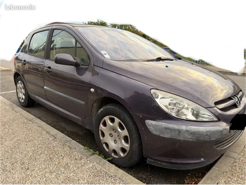 Peugeot 307 2004 photo 3