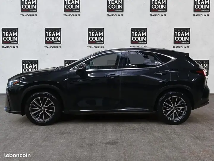 Lexus Nx 2024 photo 2