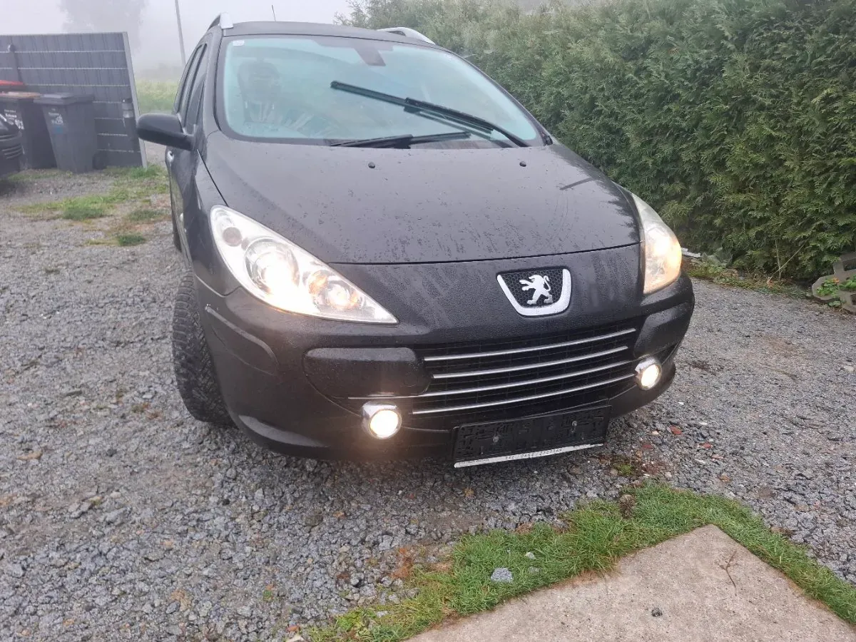 Peugeot 307 2008 photo 3
