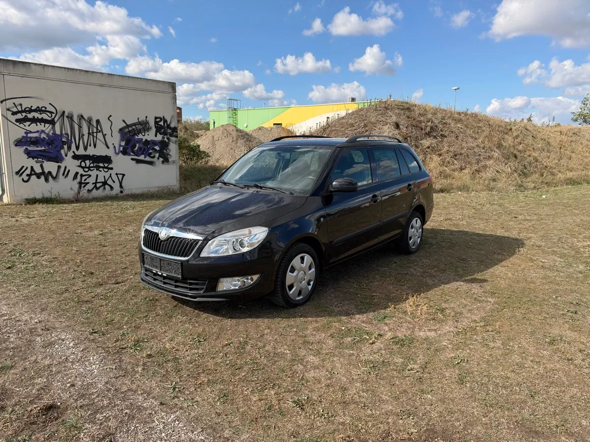Skoda Fabia 2010 photo 2