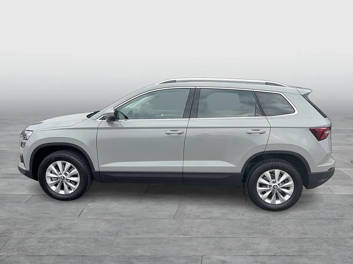 Skoda Karoq 2026 photo 2