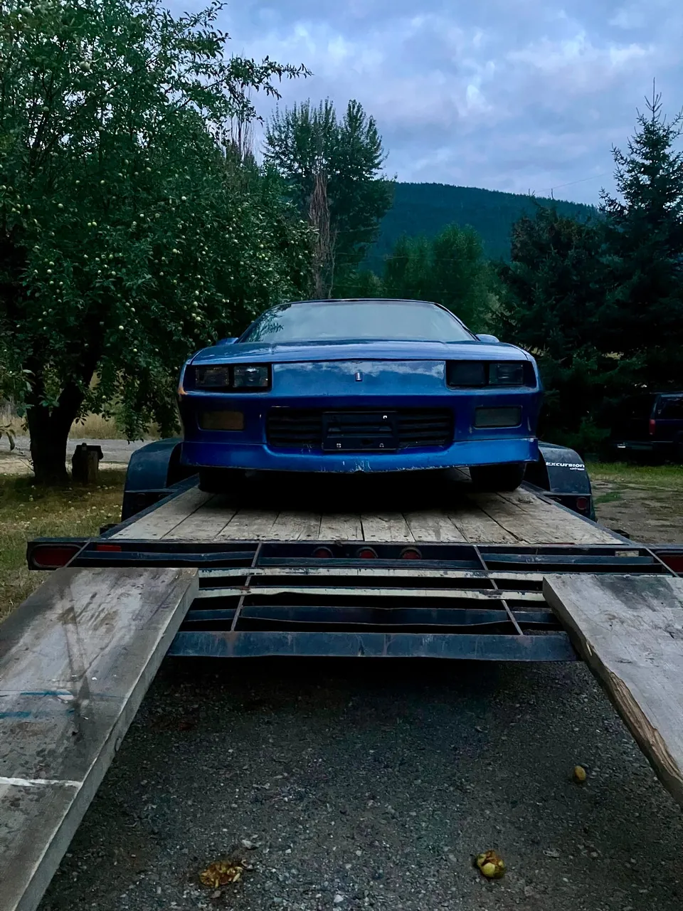 Chevrolet Camaro 1989 photo 2