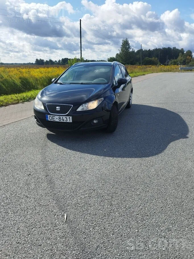 Seat Ibiza 2012 photo 2