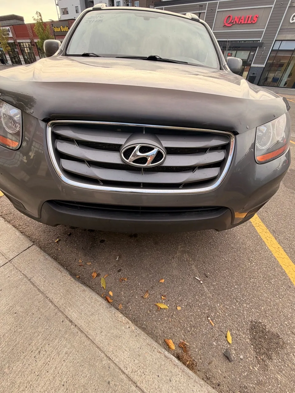 Hyundai Santa Fe 2010 photo 2