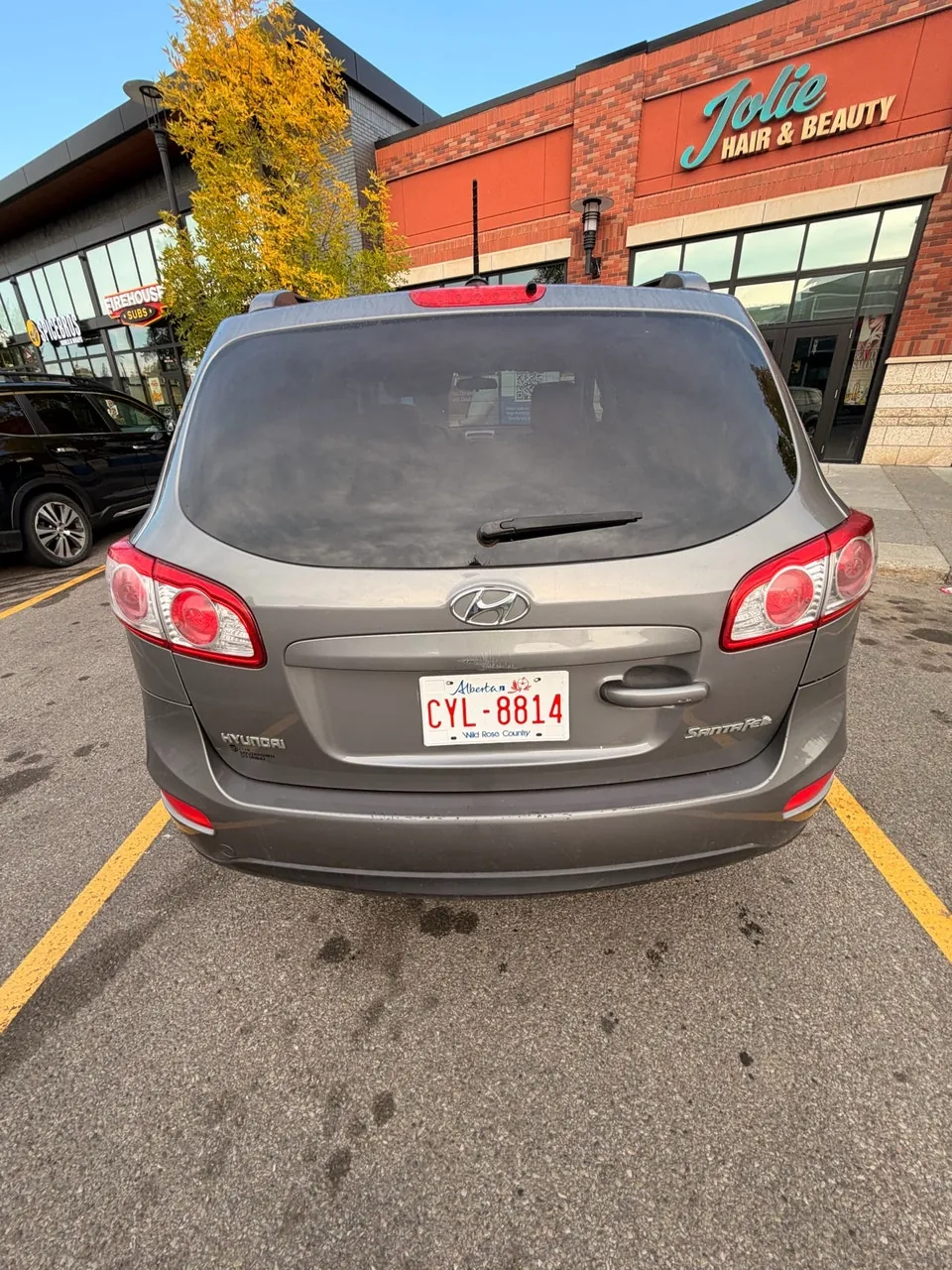 Hyundai Santa Fe 2010 photo 4