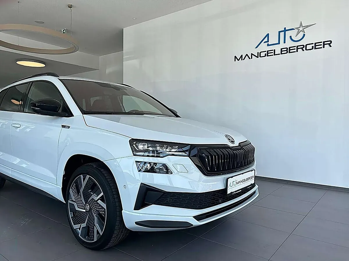 Skoda Karoq 2023 photo 3