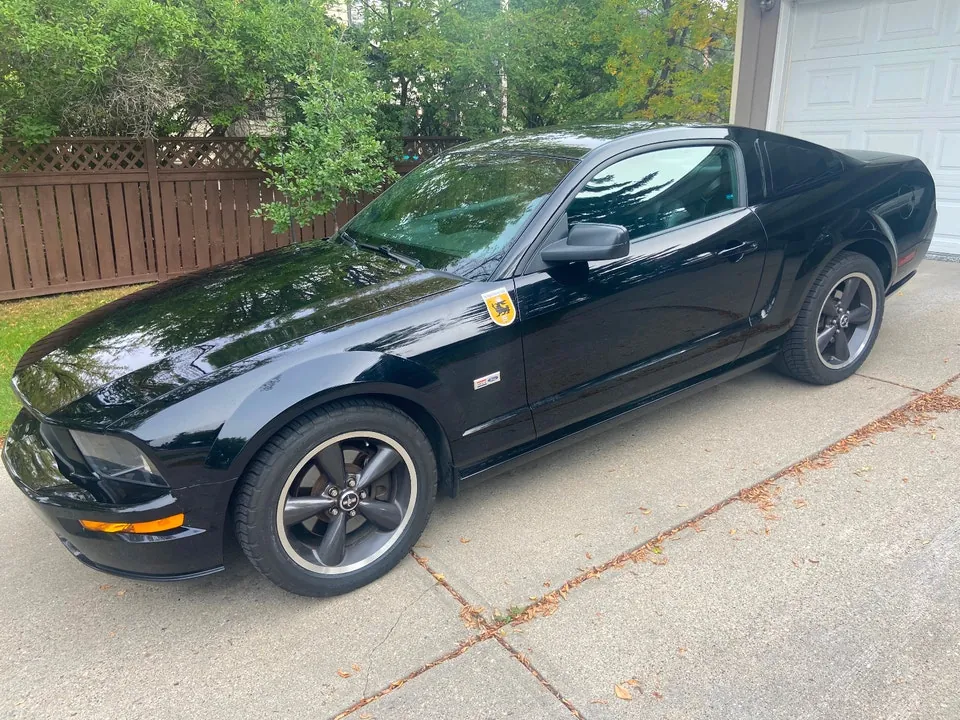 Ford Mustang 2008 photo 2