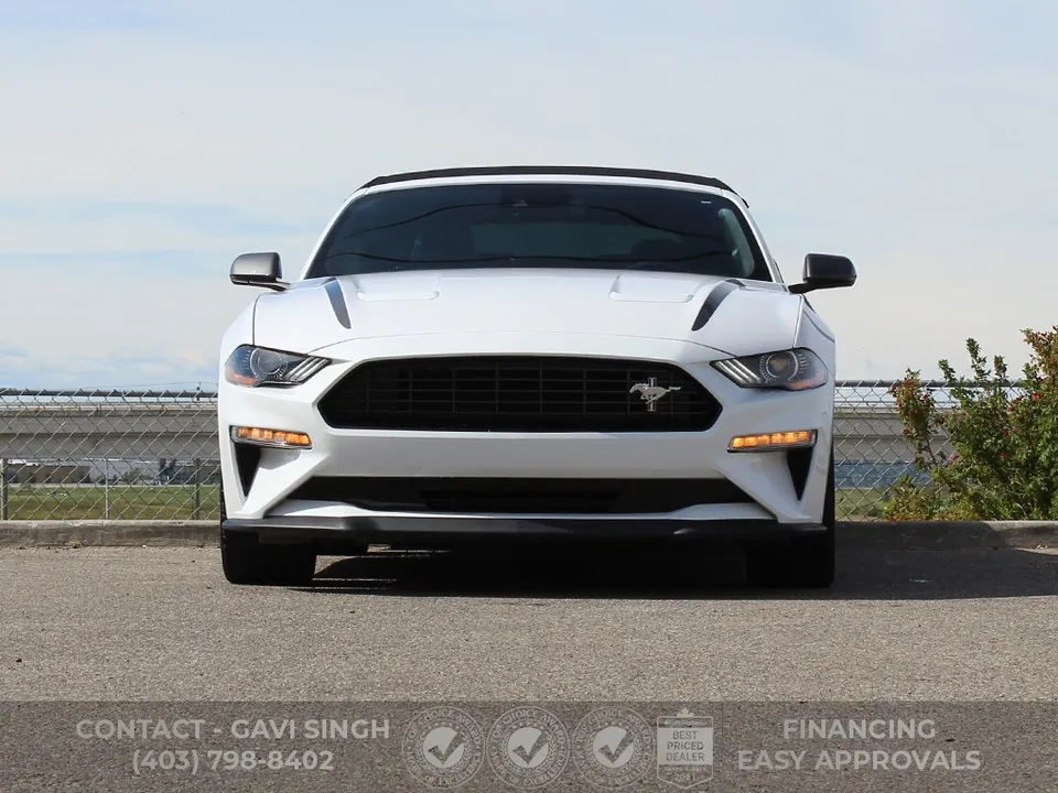 Ford Mustang 2022 photo 5