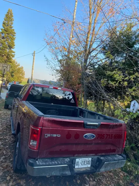 Ford F-150 2015 photo 2