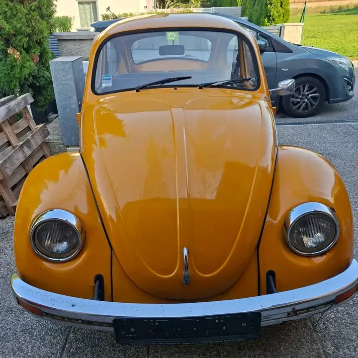 Volkswagen Käfer