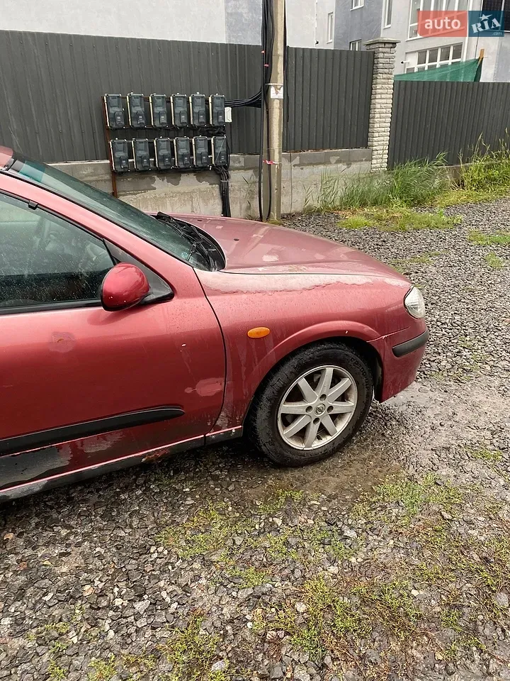 Nissan Almera 2001 photo 4