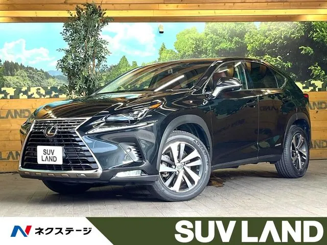Toyota Nx 300H