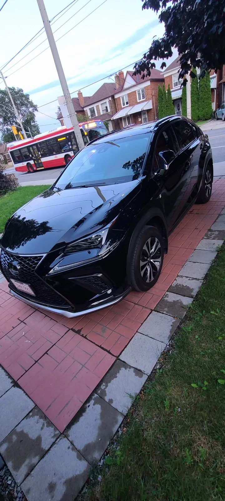 Lexus Nx 300 2019 photo 4
