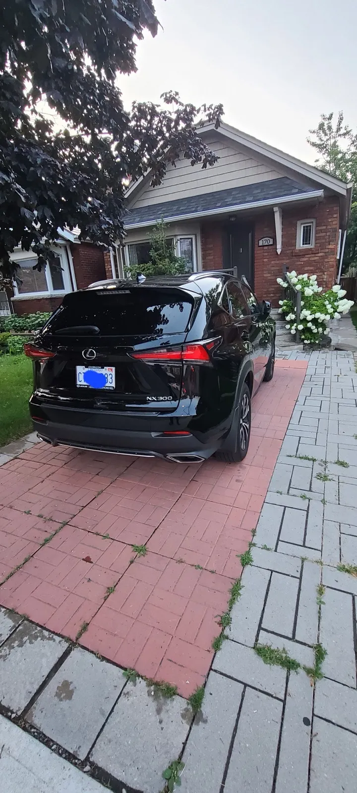 Lexus Nx 300 2019 photo 2