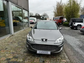 Peugeot 407 2010 photo 2
