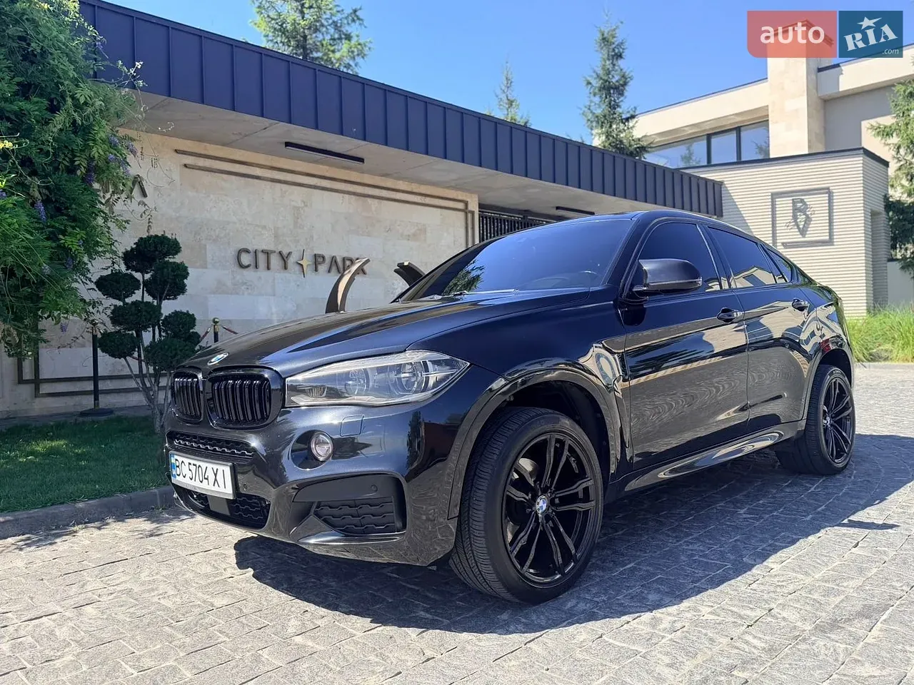 BMW X6
