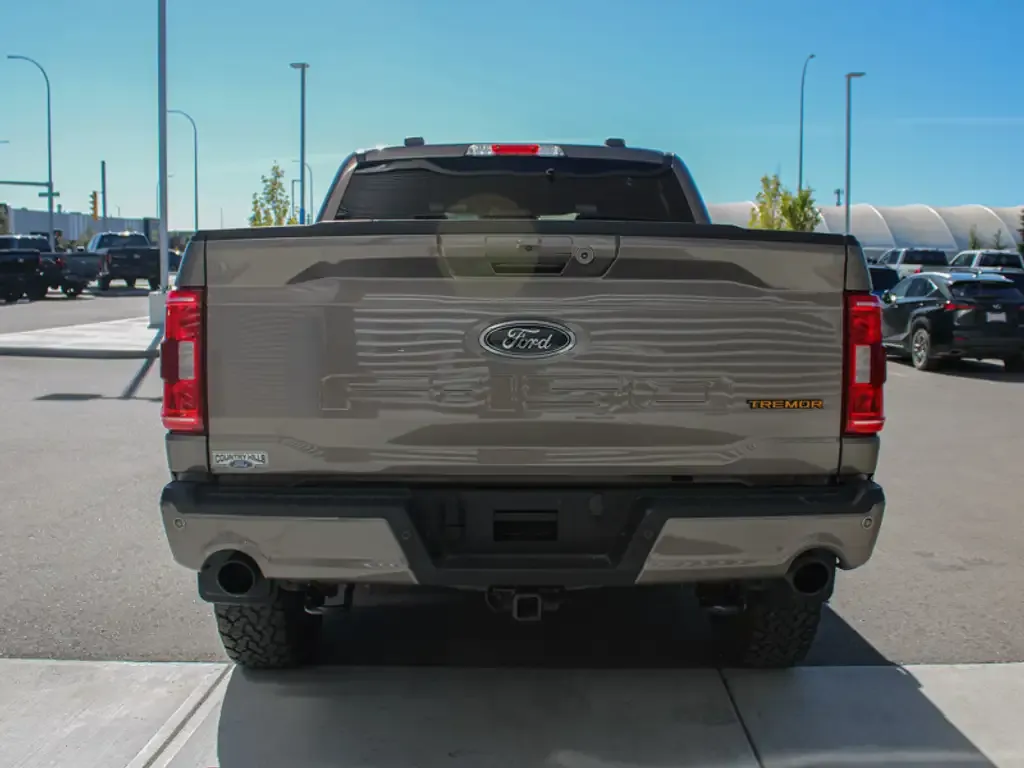 Ford F-150 2023 photo 3