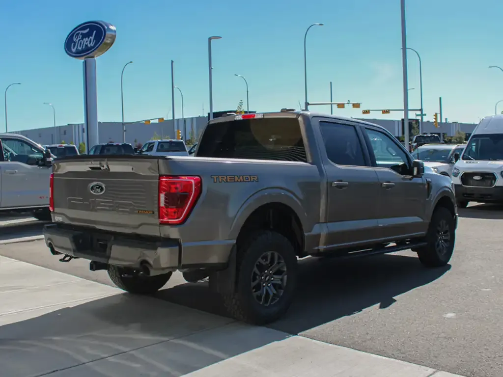 Ford F-150 2023 photo 4