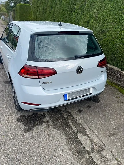 Volkswagen Golf Vii 2018 photo 3