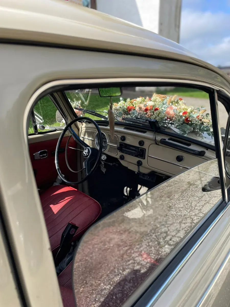 Volkswagen Käfer 1968 photo 2