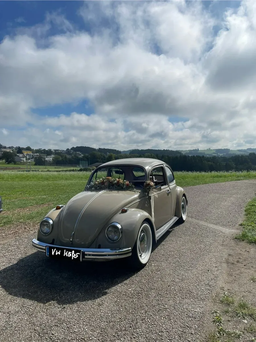 Volkswagen Käfer