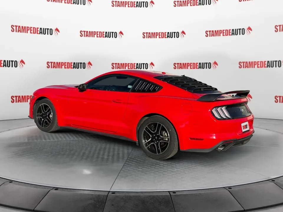 Ford Mustang 2019 photo 3