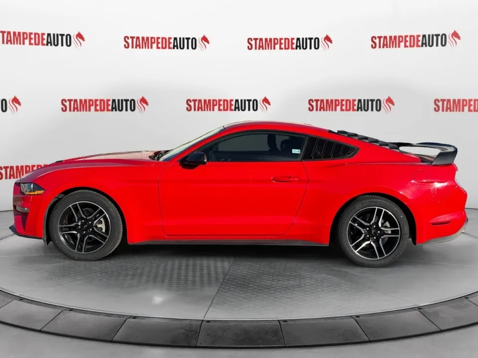Ford Mustang 2019 photo 2