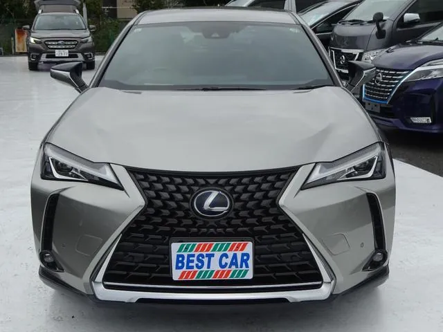 Lexus Ux 2019 photo 5