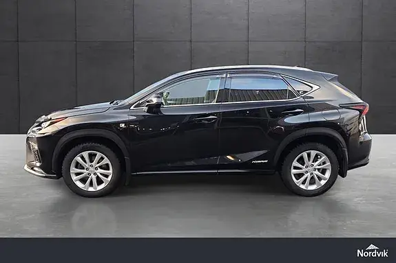 Lexus Nx300H 2021 photo 2